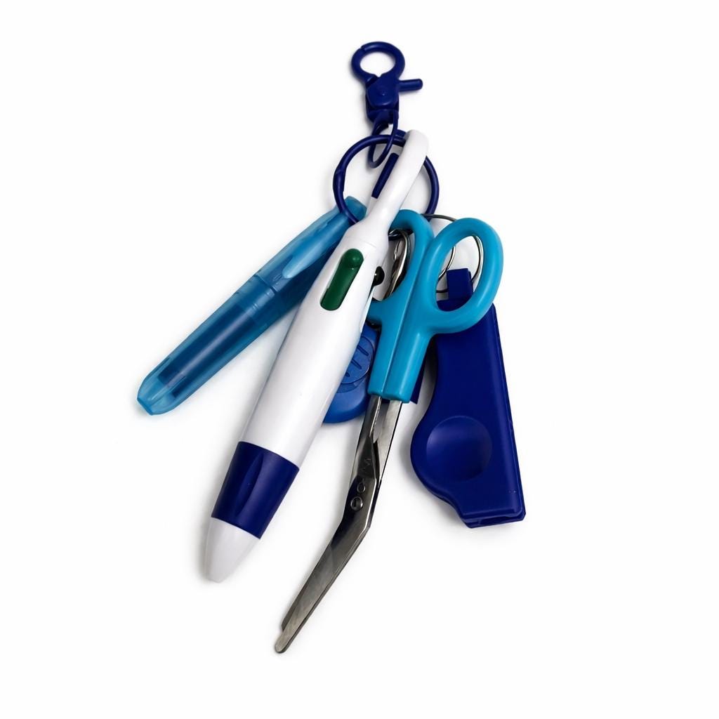 Nurse Badge Reel/Keychain Pen, Highlighter, and other Tools Set